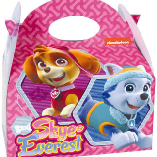 Cajita Patrulla Canina Girls