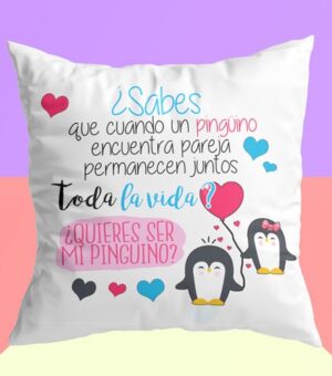 Regalo para enamorados, cojín del amor