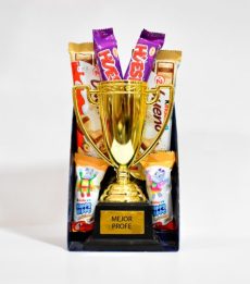 Trofeo para el mejor profesor.