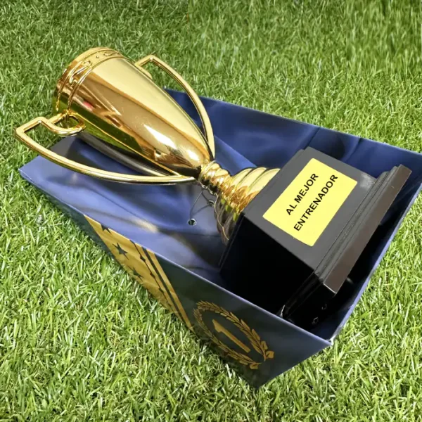 Trofeo al mejor entrenador de fútbol base.