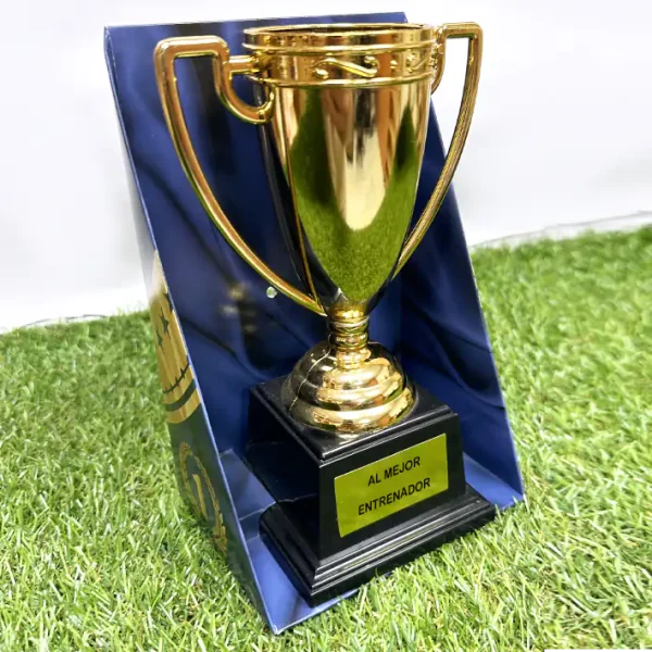 Trofeo al mejor entrenador de fútbol base.